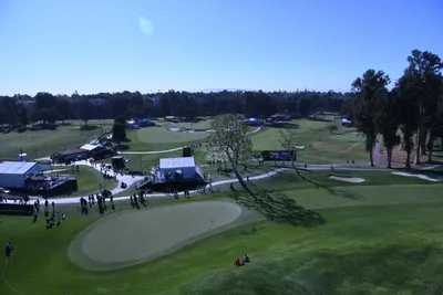 DSC_0728 (Large).JPG